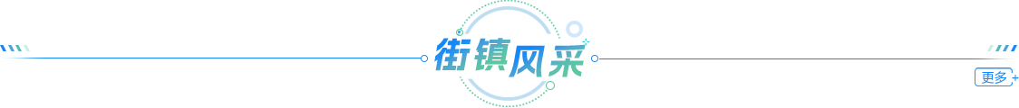 街镇风采