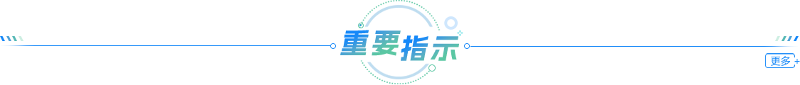 重要指示