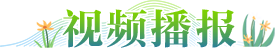 视频播报