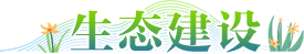 生态建设